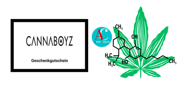 cannaboyz review