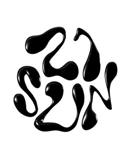 21 sun co 21 Sun Co Logo