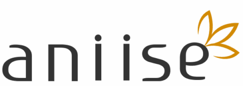Aniise Aniise Logo