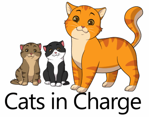 Cats In Charge Cats In Charge Logo