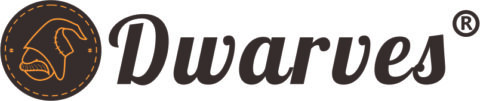 DwarvesShoes