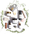 LaVigne Natural Skincare Logo