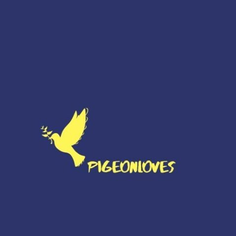 Pigeon Loves