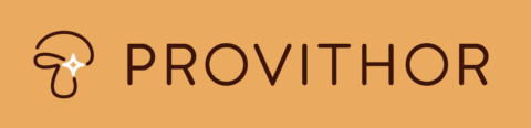 Provi Thor Logo