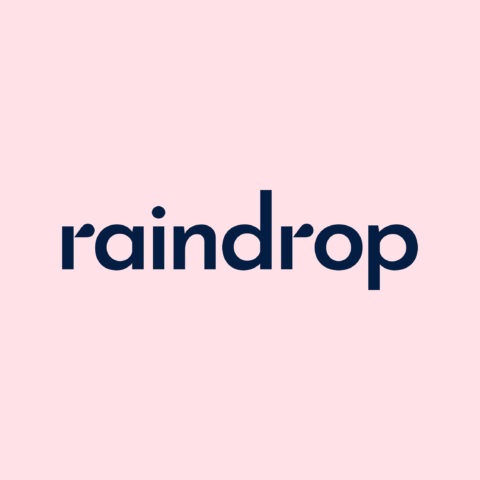 Raindrop Clean Logo