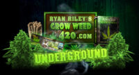 Ryan Riley’s Elite Garden Logo