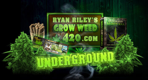 Ryan Riley’s Elite Garden Logo